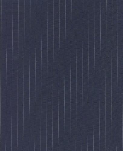 Striped cotton popelin 510119